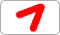item.airline.name